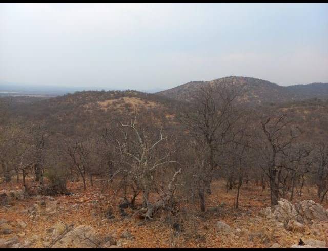 FARM FOR SALE IN MOPANE